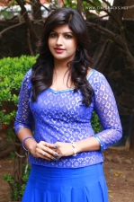 actress-naina-sarwar-stills-033