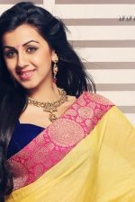 actress-nikki-galrani-stills-022