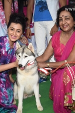 Actress-Niki-Galrani-Jayanthi-from-State-Human-Rights-fixing-the-Preventive-collar-on-Jayanthis-dog
