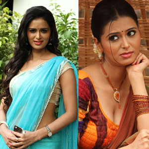 Actress Meenakshi Dixit Photos