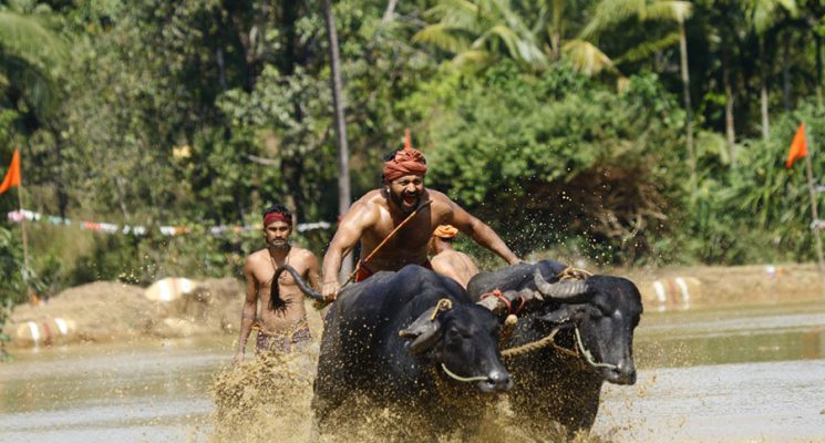 தடைகளை கடந்து சாதனை படைத்து வரும் ‘காந்தாரா’