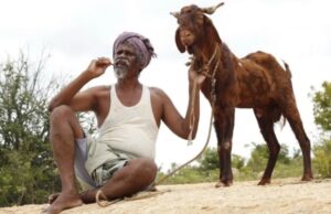 ஒண்டிமுனியும் நல்லபாடனும் ; விமர்சனம்